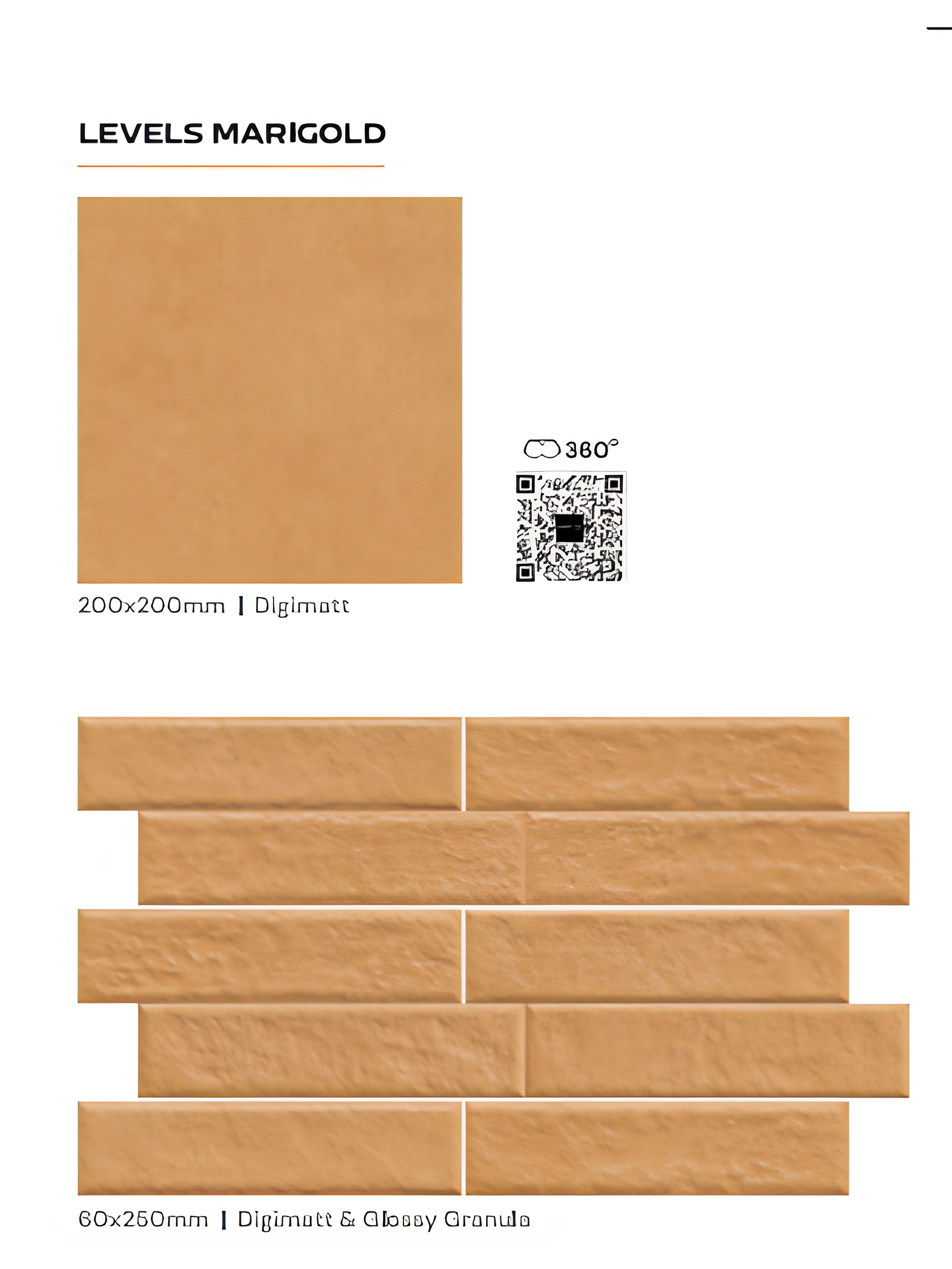 Imported collection tile design 10