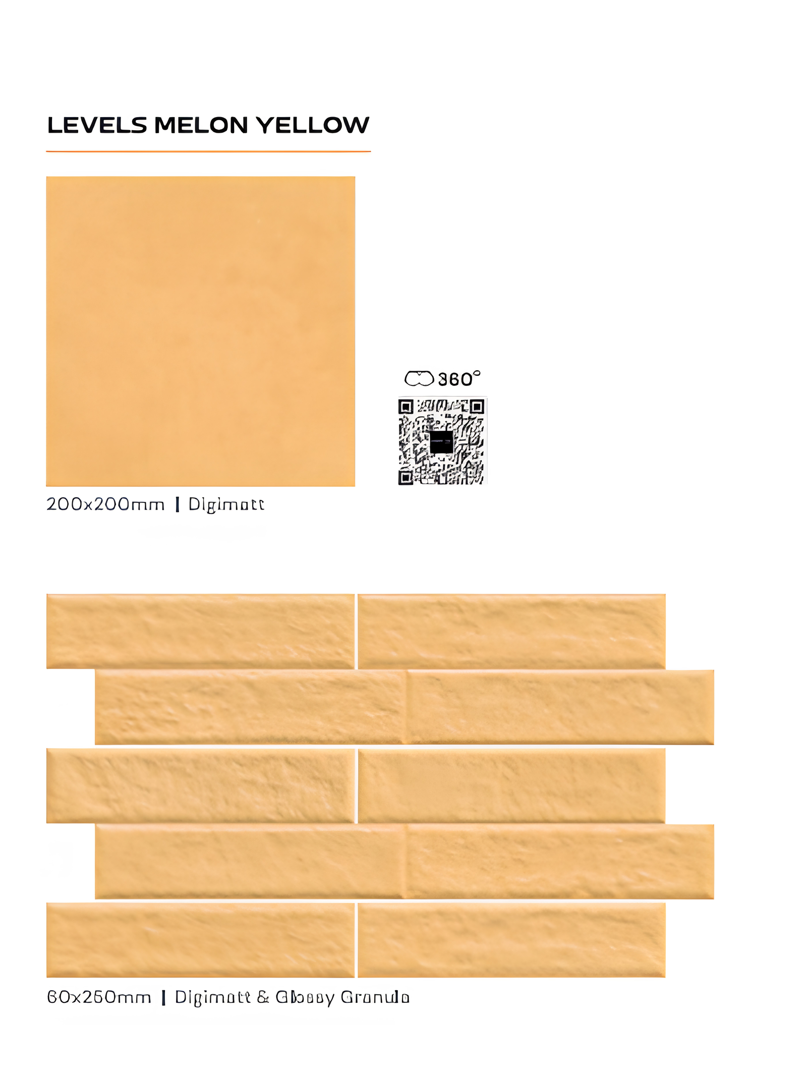Imported collection tile design 13